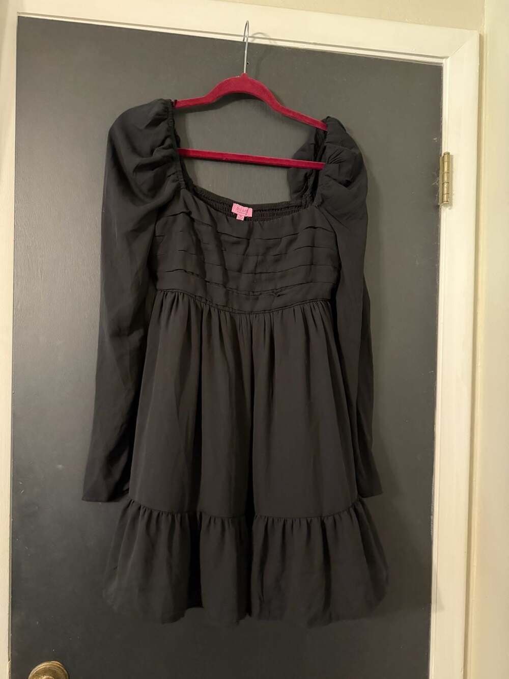 Mi Ami for Francesca's Long Sleeve Pleated Babydoll Mini Dress